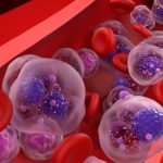 ‘ja-falamos-em-cura-funcional’,-diz-brasileira-que-liderou-estudo-com-droga-inovadora-para-o-cancer