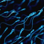 espermatozoides-acumulam-alteracoes-ligadas-a-doencas-em-filhos-de-pais-mais-velhos