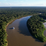 amazonia-e-cerrado-registram-queda-‘historica’-de-desmatamento,-diz-governo