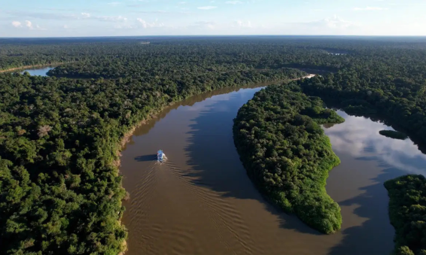 amazonia-e-cerrado-registram-queda-‘historica’-de-desmatamento,-diz-governo