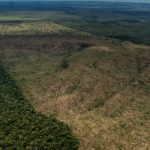 como-o-desmatamento-causa-quase-30-mil-mortes-por-ano-no-mundo