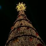 arvore-de-natal-do-parque-villa-lobos-e-inaugurada-e-deve-gerar-r$-50-milhoes-para-sp