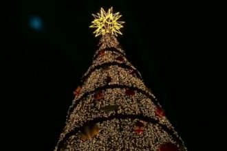 arvore-de-natal-do-parque-villa-lobos-e-inaugurada-e-deve-gerar-r$-50-milhoes-para-sp