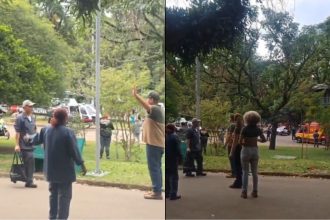 arvore-que-caiu-no-ibirapuera-pode-ter-tido-raizes-afetadas-por-ciclone