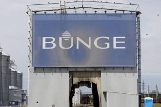 compradores-de-soja-esvaziam-acordo-antidesmatamento-da-amazonia